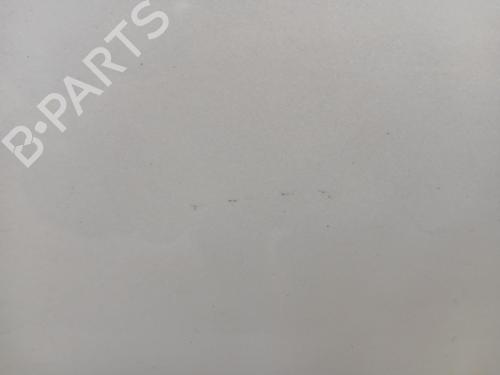 Left front door TESLA MODEL 3 (5YJ3)  | BP29546902C2 
