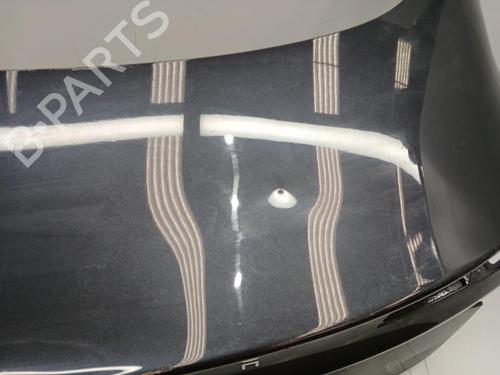 Tailgate TESLA MODEL 3 (5YJ3)  | BP29589559C6 