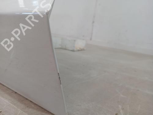Left front door TESLA MODEL 3 (5YJ3)  | BP29546902C2 