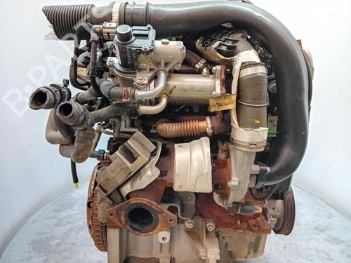 Engine RENAULT CLIO III (BR0/1, CR0/1)  | BP29211621M1 