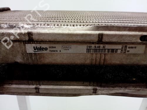 Intercooler FORD FIESTA VI (CB1, CCN) 1.0 EcoBoost | BP17043250M30 