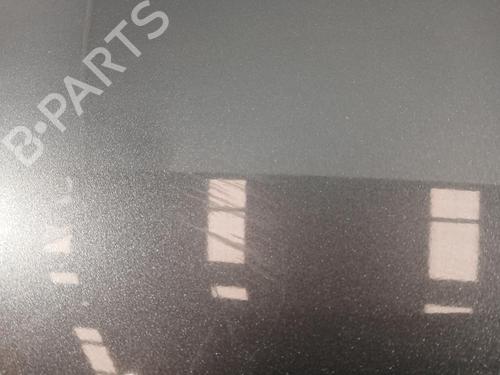 Tailgate TOYOTA RAV 4 V (_A5_, _H5_)  | BP32323234C6 