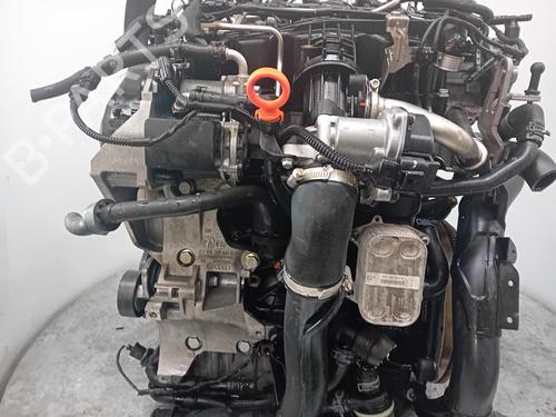 Engine SEAT IBIZA IV (6J5, 6P1) | BP31330981M1