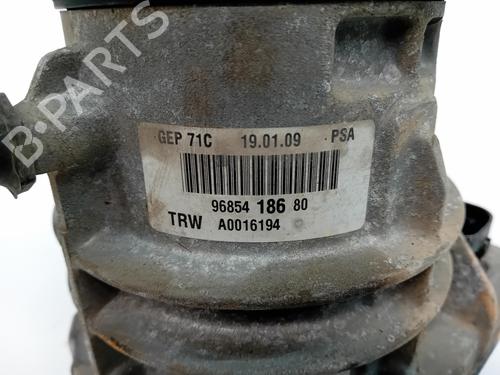 Servopumpe CITROËN C4 Picasso I MPV (UD_)  | BP29246810M99 