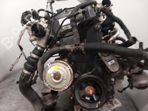 Motor FORD TRANSIT V363 Platform/Chassis (FED, FFD)  | BP31059935M1 