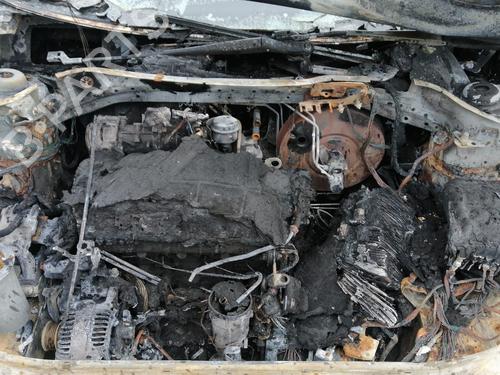 - Image 6