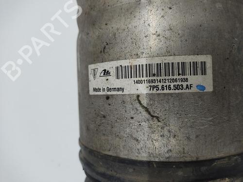 Left rear shock absorber PORSCHE CAYENNE (92A) | BP37182116M18 - Image 3
