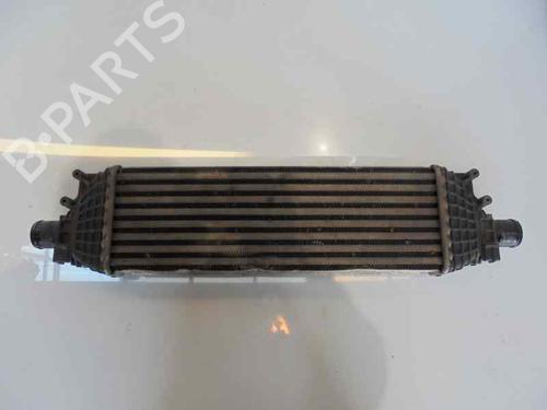 Intercooler FORD FIESTA V (JH_, JD_) [2001-2014]  5535234