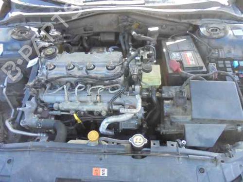  - Image 7