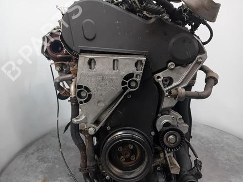 Engine SKODA RAPID (NH3, NK3, NK6) 1.6 TDI | BP31696167M1 