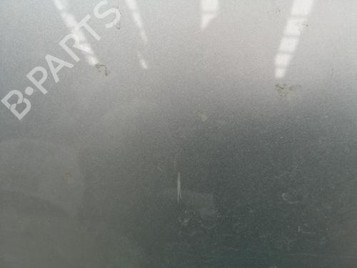 Hood RENAULT SCÉNIC III (JZ0/1_)  | BP28470815C1 