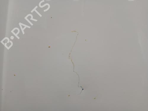 Hood VW TAIGO (CS1)  | BP29435155C1 