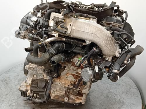 Engine AUDI A7 Sportback (4KA) 40 TDI Mild Hybrid | BP29358095M1 