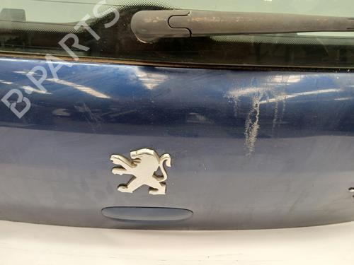 Tailgate PEUGEOT 307 (3A/C)  | BP29322016C6 