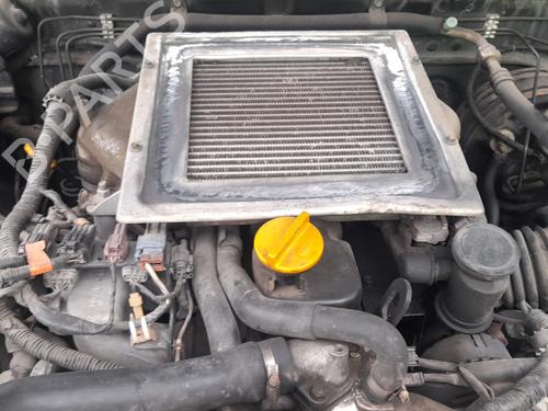 Grille NISSAN TERRANO II (R20) 2.7 TDi 4WD | BP20654784C40 