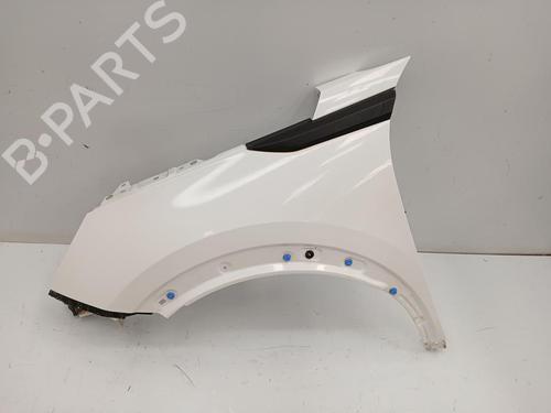 Used Left front fenders PEUGEOT 2008 II (UD_, US_, UY_, UJ_, UR_, UC_) [2019-2025]  29591925