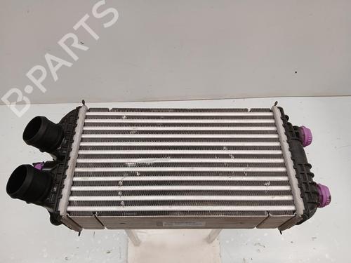 Used Intercooler CITROËN C4 III (BA_, BB_, BC_) [2020-2025]  29849718