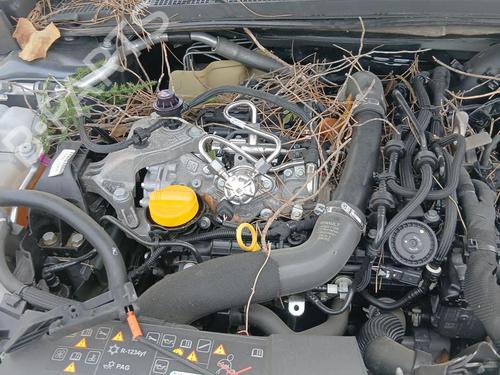 - Image 7