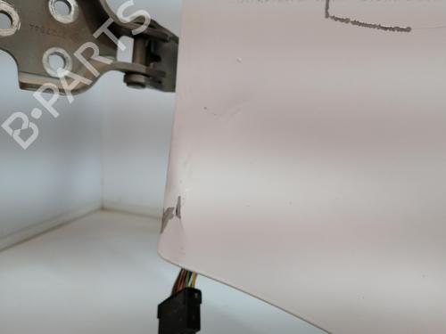 Left front door NISSAN INTERSTAR Van (X70)  | BP28059382C2 