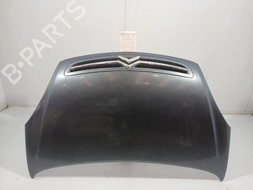 Panser CITROËN XSARA PICASSO (N68) 1.6 HDi (109 hp) 31070285