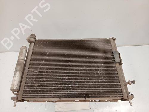 Water radiator RENAULT CLIO III (BR0/1, CR0/1)  | BP29849716M31