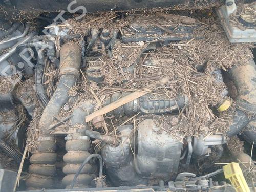 - Image 5