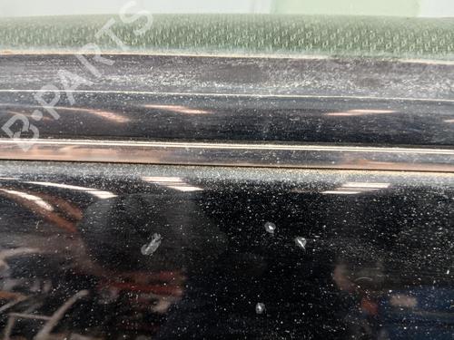 Left front door MERCEDES-BENZ B-CLASS Sports Tourer (W245)  | BP25027379C2 