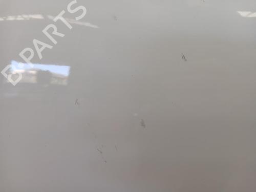 Left front door DACIA SPRING EV (B6M1) | BP37033036C2 - Image 6