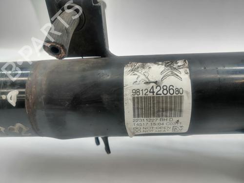 Right front shock absorber CITROËN C3 III Van (SX_, SY_)  | BP29252492M17 