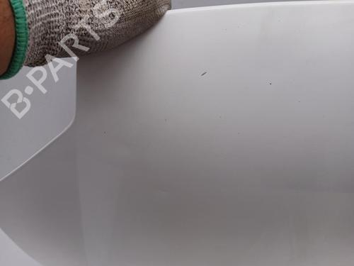 Hood PEUGEOT PARTNER MPV (5_, G_)  | BP29572806C1 