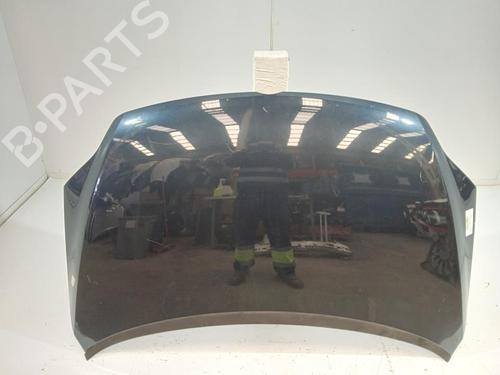 Used Hood VW GOLF PLUS V (5M1, 521) [2004-2013]  32071947