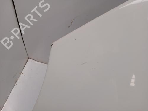 Left front fenders RENAULT SCÉNIC III (JZ0/1_)  | BP28042818C41 