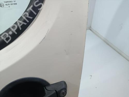 Left front door FIAT DOBLO Box Body/MPV (223_) 1.3 D Multijet | BP30094641C2 