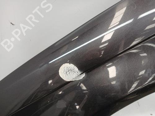 Left front fenders AUDI A3 (8P1) 1.9 TDI | BP29865498C41