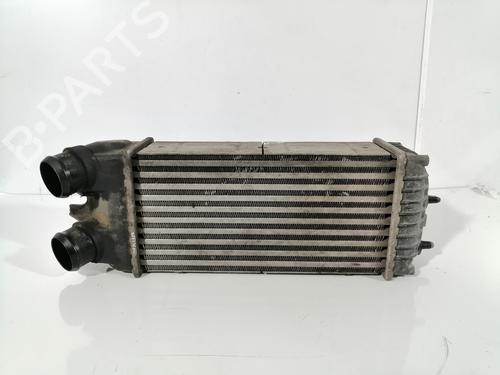 Used Intercooler PEUGEOT PARTNER MPV (5_, G_) 1.6 HDi 90 (90 hp) 10927074