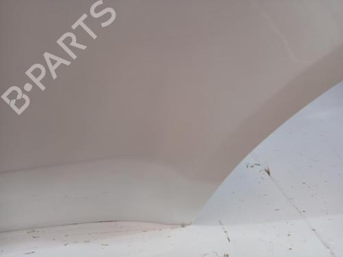 Left rear door TESLA MODEL Y (5YJY)  | BP30321336C4 