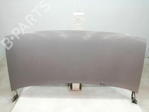Capot FIAT SCUDO Platform/Chassis (220_) 2.0 JTD (94 hp) 27613697