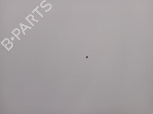 Hood PEUGEOT PARTNER MPV (5_, G_)  | BP29572806C1 