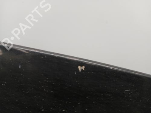 Hood RENAULT CLIO III (BR0/1, CR0/1) 1.4 16V | BP24552483C1 
