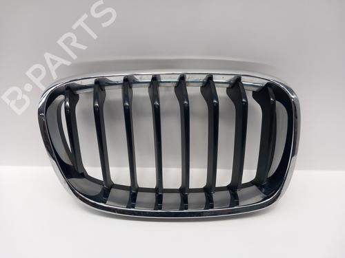 Grill/Gitter BMW 1 (F21) 120 d xDrive (184 hp) 18141374