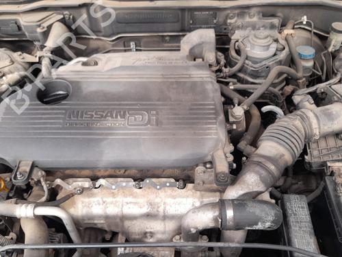 Right front door NISSAN ALMERA II Hatchback (N16) 2.2 Di | BP26959488C3 