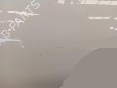 Left rear door DACIA SPRING EV (B6M1) | BP37033043C4 - Image 2