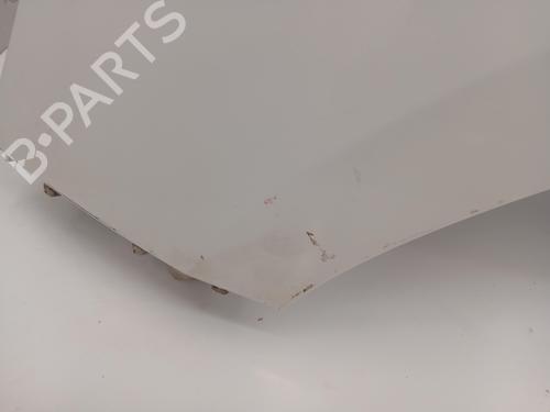 Left front fenders RENAULT SCÉNIC III (JZ0/1_)  | BP28042818C41 