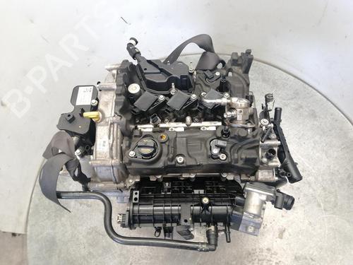 Used Engine FORD FIESTA VII (HJ, HF) [2017-2025]  31059946