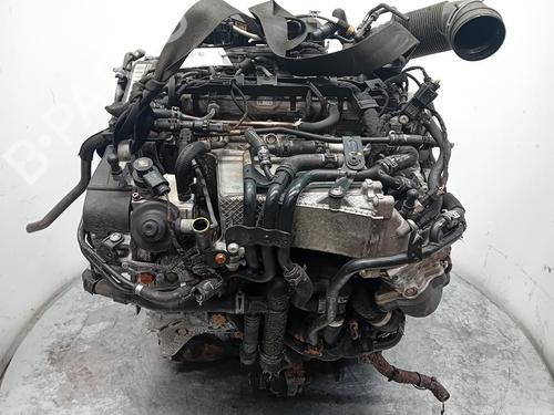 Engine VW TIGUAN (5N_)  | BP36528642M1  - Image 6
