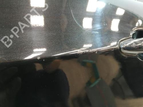Left front door BMW 3 (E90) 318 d | BP29234664C2 