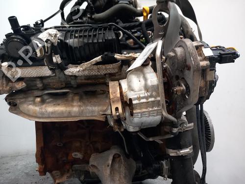 Motor FORD TRANSIT V363 Platform/Chassis (FED, FFD)  | BP30696115M1 