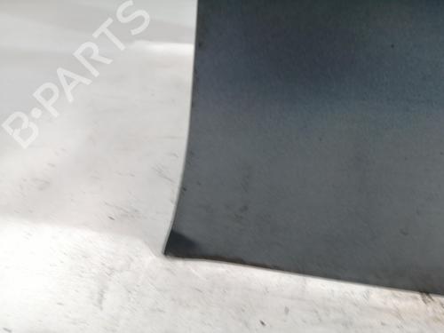 Right front door CITROËN XSARA PICASSO (N68) 2.0 HDi | BP26695235C3 