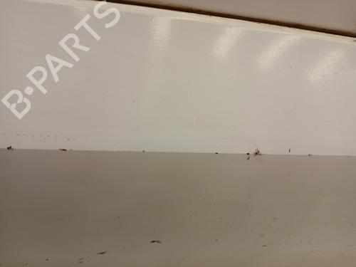 Left front door RENAULT KOLEOS I (HY_) | BP24882967C2