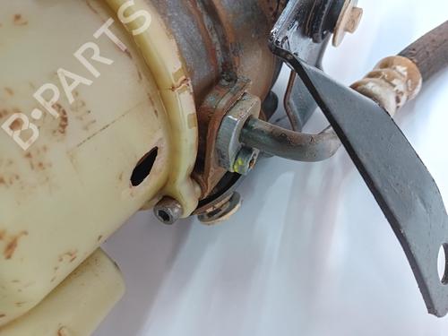 Steering pump DACIA DUSTER (HS_)  | BP29246811M99 